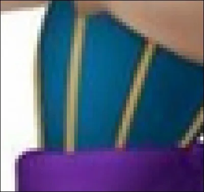 Qui porte cette robe ?