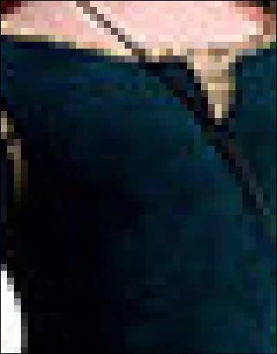 Qui porte cette robe ?