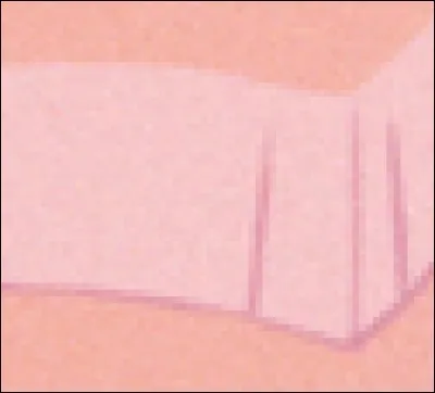 Qui porte cette robe ?