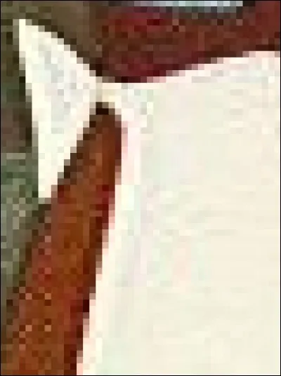 Qui porte cette robe ?