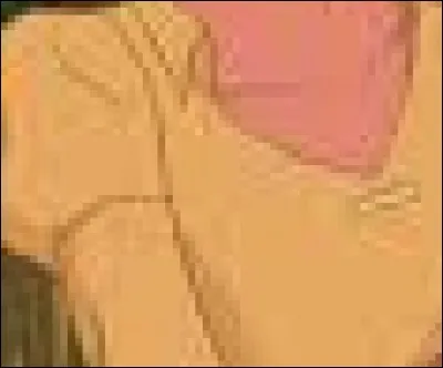 Qui porte cette robe ?