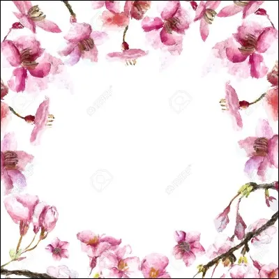 De quelle couleur le coquelicot est-il ?