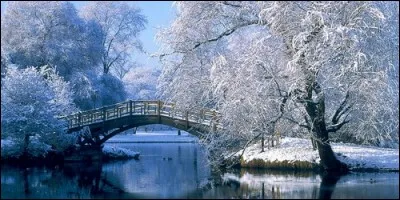 Lequel de ces animaux passe son hiver à dormir ?