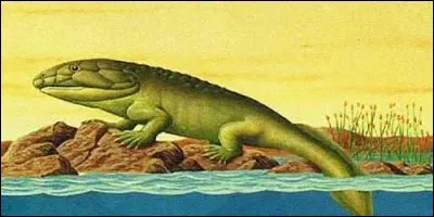 À quelle époque l'ichtyostega a-t-il vécu ?