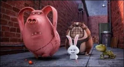 Comment s'appelle le cochon ?