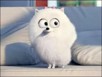 Qui met tout en oeuvre pour retrouver Max ?