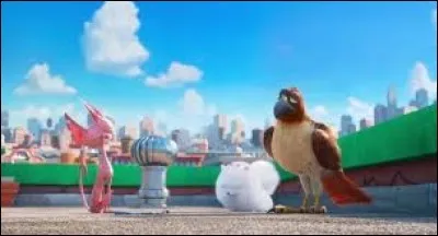 Comment s'appelle le rapace qui aide Gidget à retrouver Max ?