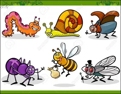 Laquelle de ces bestioles a 8 pattes ?