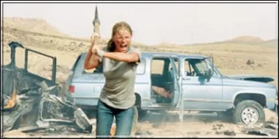 Alexandre Aja est le réalisateur de cet excellent remake, bien meilleur que l'original. Il s'agit de :