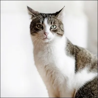 Aidez-vous de l'image pour trouver la ville existante.