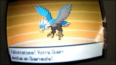 Quel Pokémon n'a pas d'évolution parmi ces trois ?