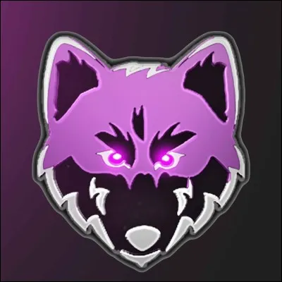 Qui est ce youtubeur ?