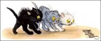 Quelle est la couleur d'un chat qui porte malheur d'après une célèbre superstition ?