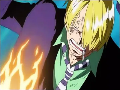 Comment s'appelle la technique de Sanji ?