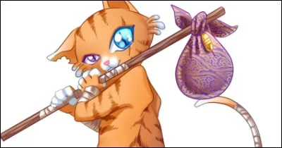 Comment s'appelle le chat aux yeux vairons ?