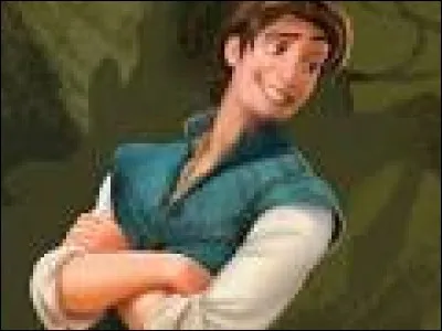 Dans quel dessin animé retrouve-t-on Flynn ?