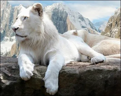 Quel est cet animal ?