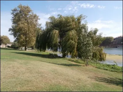 Ici, on se trouve dans le parc de la prairie des Filtres dans le centre de Toulouse, pr&egrave;s du Pont-Neuf. Regardez bien la photo. Que voyez-vous ?