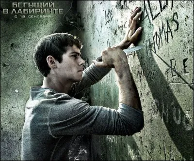 Le Labyrynthe : 
Les Blocards ont plusieurs rôles attribués. Quel est celui de Thomas ?