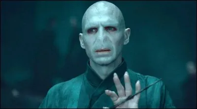 Harry Potter : 
Quelle phrase concernant Voldemort, le principal antagoniste d'Harry Potter, est vraie ?