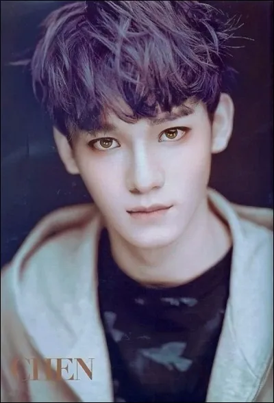 Chen fait partie des :