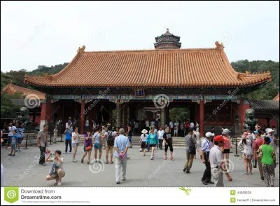 Qui a écrit "Beijing Coma" ?