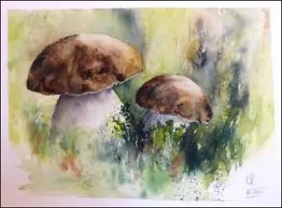 Monnaie officielle de Samoa, État de Polynésie :