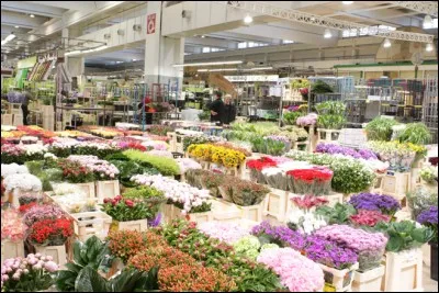 "La petite couronne" ! Qui est-elle ? Où est-elle ?
