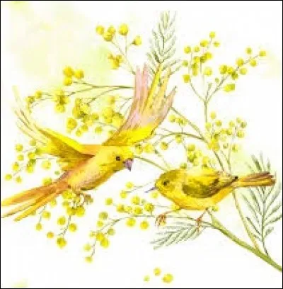 Appareil de détection sous-marine, utilisant les ondes sonores :