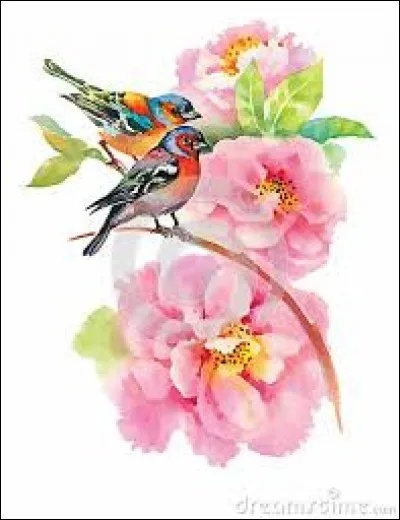 Au Québec, fondations d'une construction :