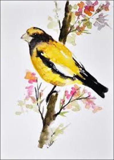 Qui résonne, où le son est bien renvoyé :