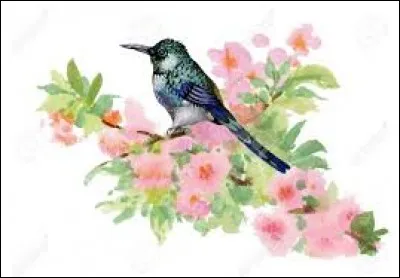 Personne éminente dans un domaine particulier :