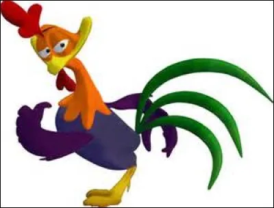 Qui est ce coq de la télé québécoise ?