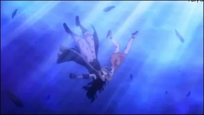 De quel anime provient ce couple ?