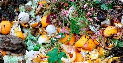 Que peut-on mettre dans un composteur ?