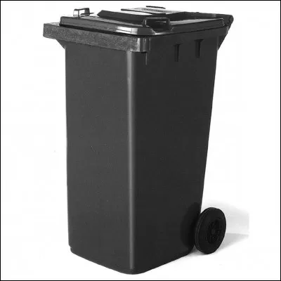 À quoi sert la poubelle noire ?