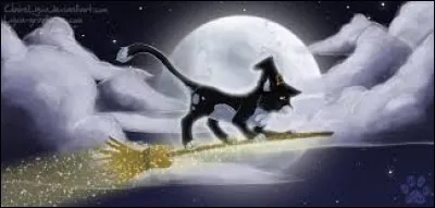 Quel personnage peut-on facilement associer au balai ?