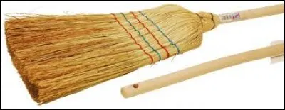 Comment appelle-t-on ce type de balai ?