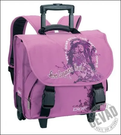 Comment s'appelle ce matériel qu'on transporte sur le dos ?