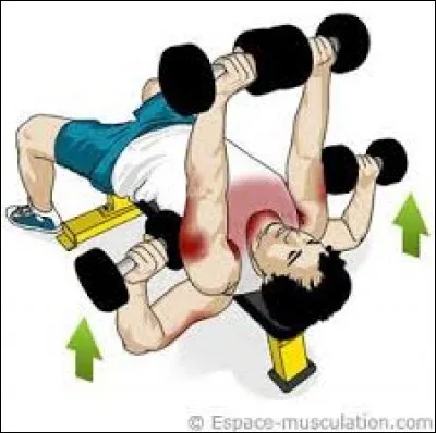 Essayez de nommer celui-ci qui travaille très bien les épaules !