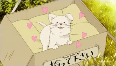 Comment s'appelle-t-il ?