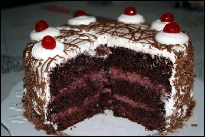 Ce gâteau est très ___.