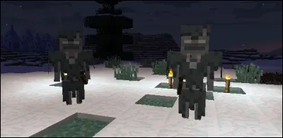 Pendant combien de secondes les strays donnent-ils l'effet lenteur ?