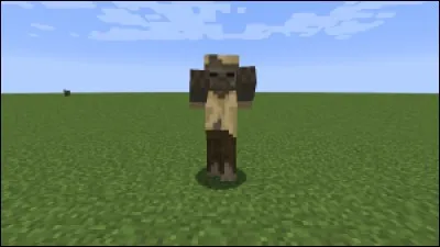 Pendant combien de temps les husks donnent-ils l'effet faim en difficulté normale ?