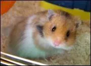 Si c'tait une dame, ce serait une capitale europenne.