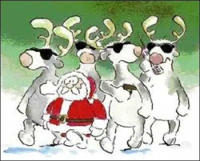 "R" comme "renne". Sur quelle photo pouvez-vous voir ce cervidé ?