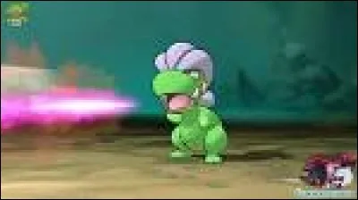 Quel est ce Pokémon ?