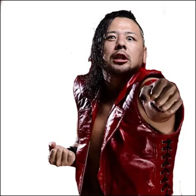 Qui est ce catcheur ?