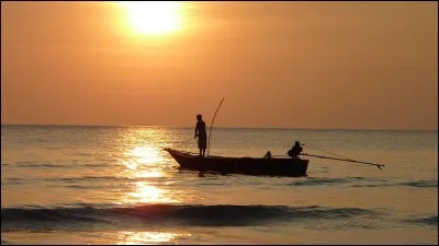 Lorsque l'on pêche, quel type d'animal doit-on généralement attraper ?