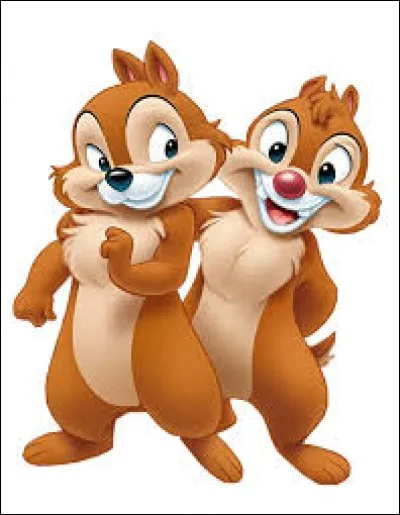 Comment s'appellent ces deux écureuils de l'univers Disney ?